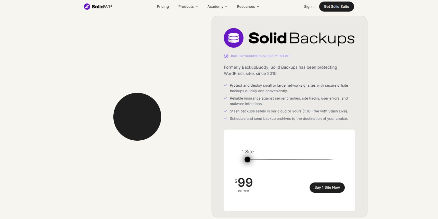 A screenshot of Solid Backups Home Page