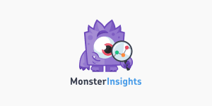 monsterinsights ga wordpress 300x150 1