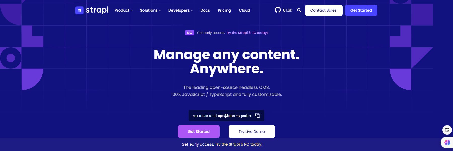 strapi open source CMS