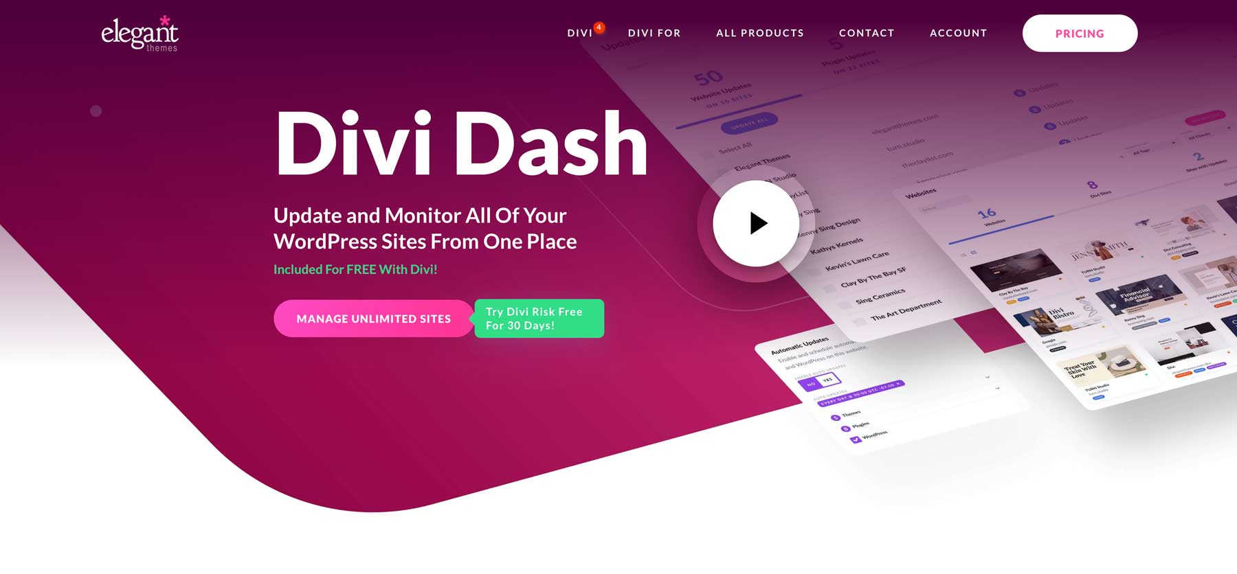 Divi Dash 1