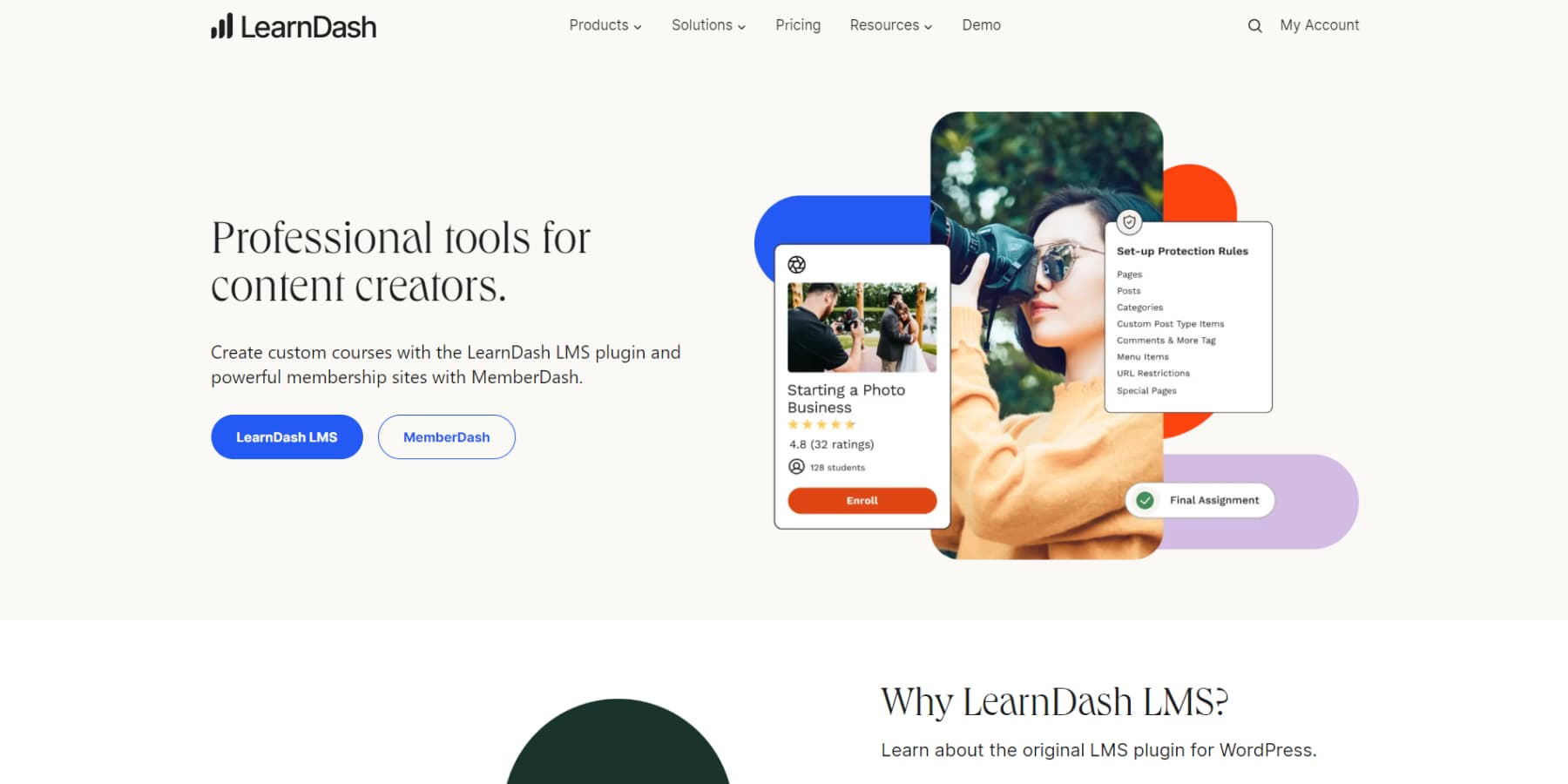 A screenshot of LearnDashs homepage