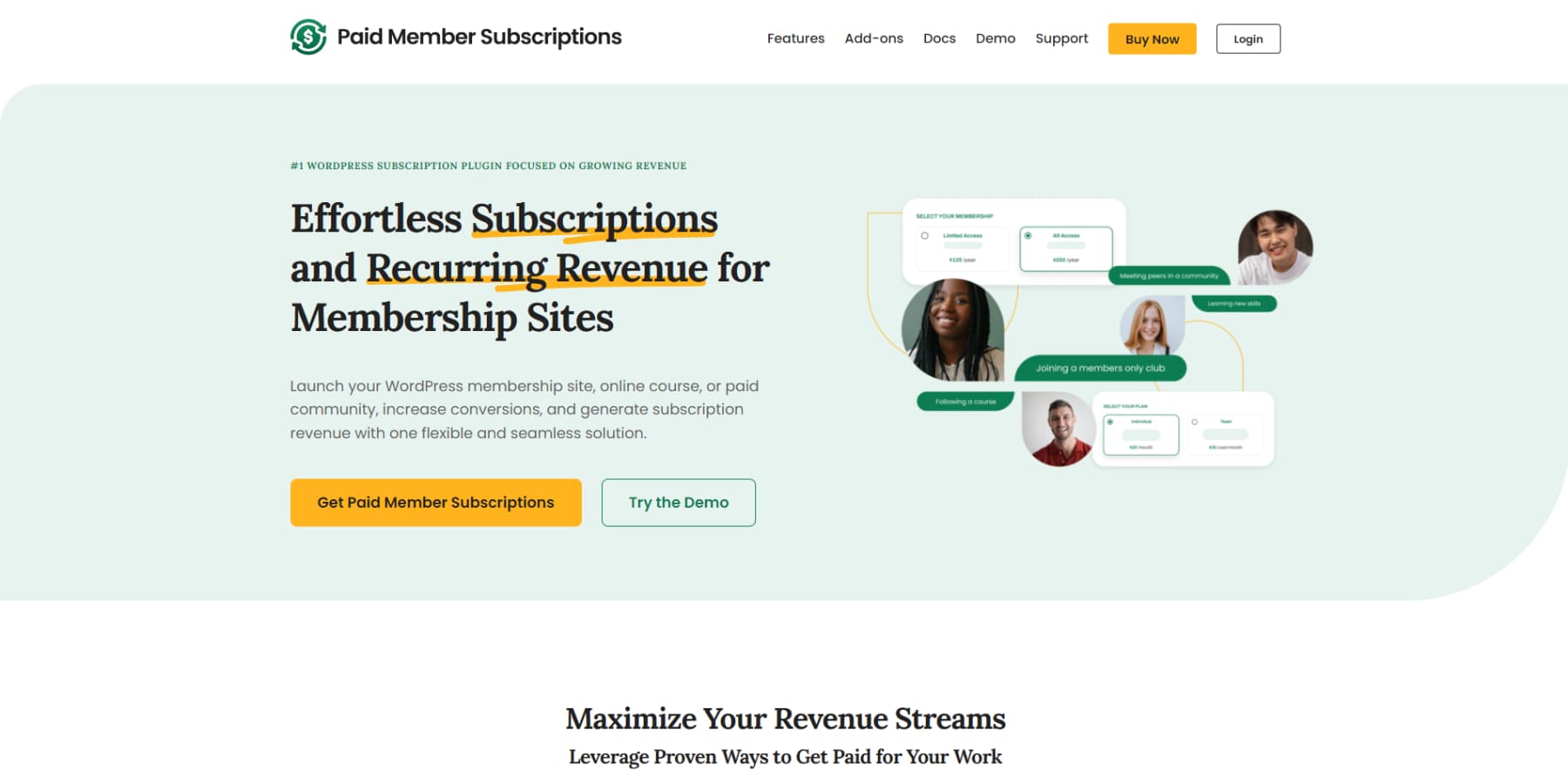 A screenshot of Paid Member Subscriptions homepage