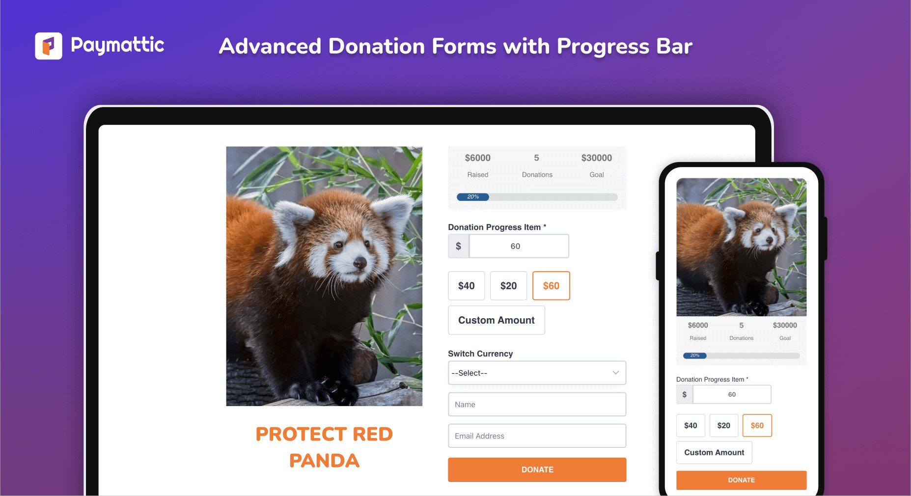 Paymattic Donation Forms with Progress Bar